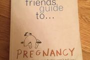 Pregnancy books: The best friends' guide to pregnancy