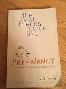 Pregnancy books: The best friends' guide to pregnancy