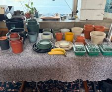 Free plant containers