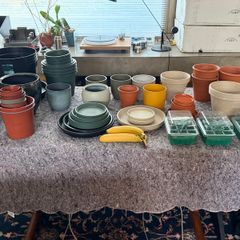 Free plant containers