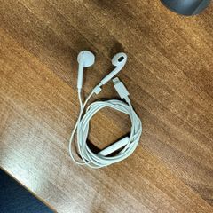 Apple wired headphones