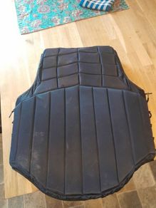 Back protector
