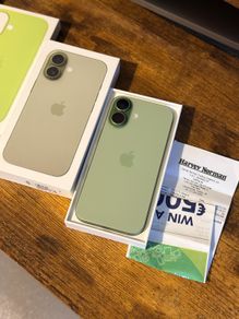 iPhone 17 Sage Green