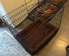 Large dog cage