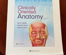 Moores clinically orientated anatomy