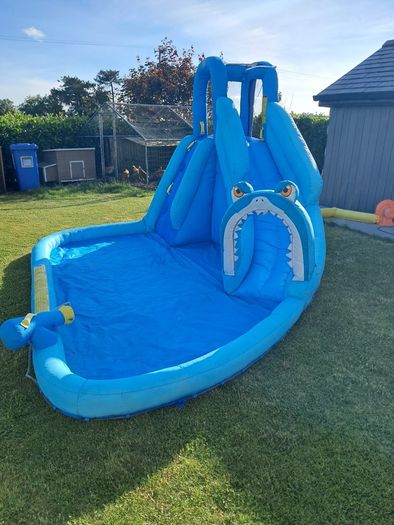 shark inflatable pool