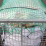 Seasoned Ash/Oak/Beech Hardwood firewood - tonne bags Image 5