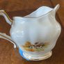 Royal Tara 20pcs Tea Set Rare Vintage Hunt Scene Pattern Image 7