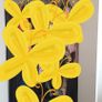 IKEA Bedroom Furniture for Sale  Dublin City Centre Image 4