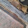 World War 2 Ammo box Image 3