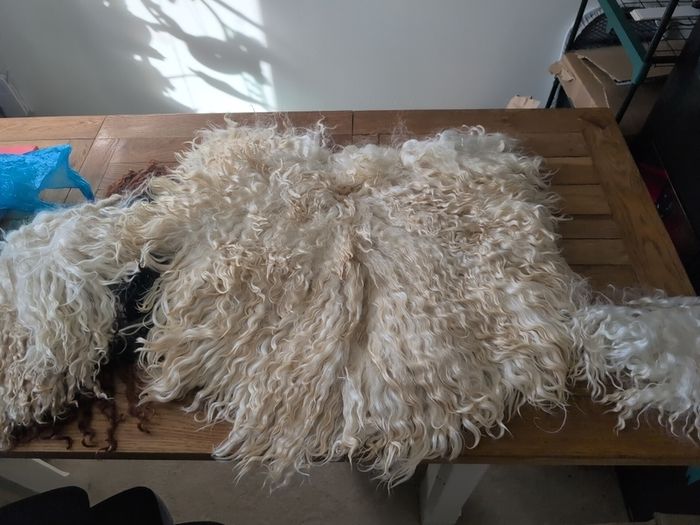 Doll hair Goat skin with long curls