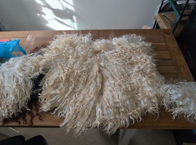Doll hair Goat skin with long curls