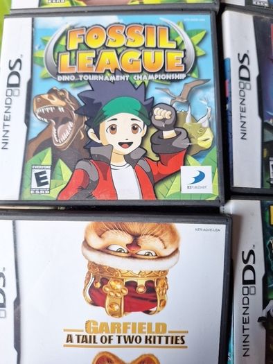 nintendo Ds