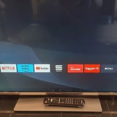 Panasonic 43" Smart