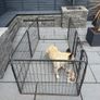 Dog pen Image 3
