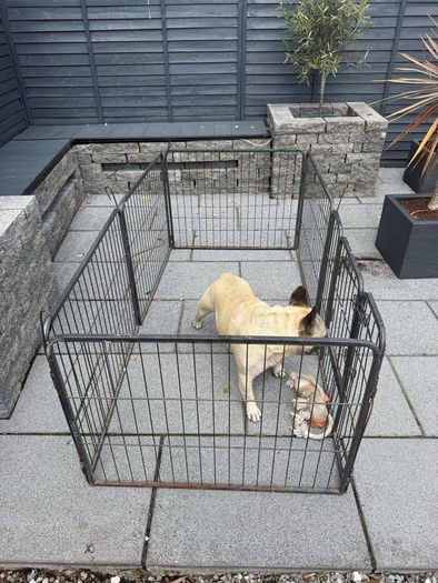 Dog pen