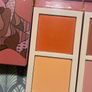 Juivas place blush duo palettes Image 2