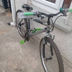 Adult/Teen Bicycle