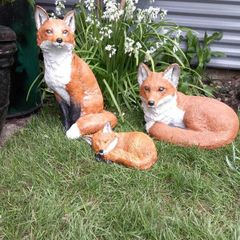 Fox Family