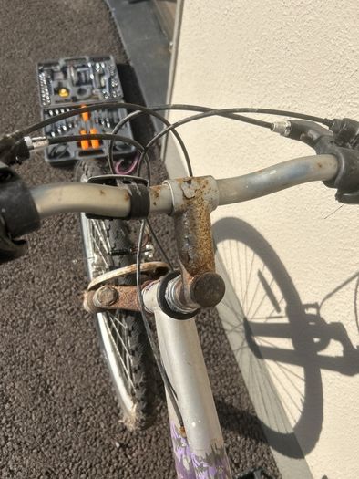 Raleigh Drift Bike