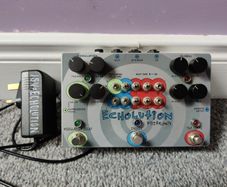pigtronix echolution delay pedal