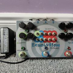 pigtronix echolution delay pedal