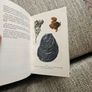 Animals And Plans Of The Sea. Authors: G. Mandahl-barth And M.l. Bauchot  Illustrator: Henning Anthon  Publisher: Fernand Nathan. Beautiful Illustrated Paperback In Good Condition.  See Photos For Same. Image 5