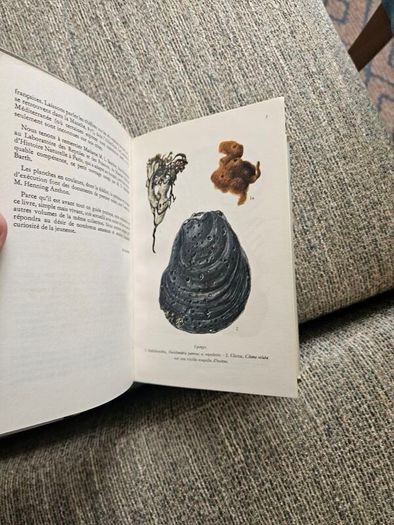 Animals And Plans Of The Sea. Authors: G. Mandahl-barth And M.l. Bauchot  Illustrator: Henning Anthon  Publisher: Fernand Nathan. Beautiful Illustrated Paperback In Good Condition.  See Photos For Same.