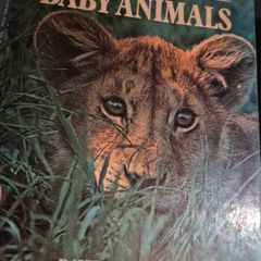 A first book of baby animals