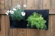 Horizontal Wall Planter Clever Pot