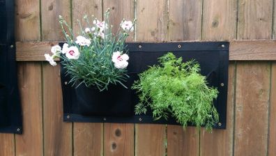 Horizontal Wall Planter Clever Pot