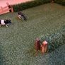 Farm Toys - Shed and Field Image 5