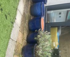 6 blue ceramic pots