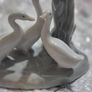 NAO Duck Trio. In excellent condition Image 2