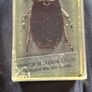 Genuine Collection of 15 Clear Resin Exotic Insects and Arachnids Price is for 1 only Image 10