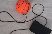 Toy