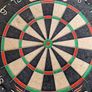 Winmau Dartboard Image 2
