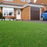Artifical grass Image 4