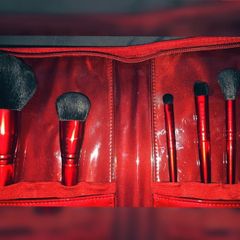 Morphie royal sweep collection brush set+ case