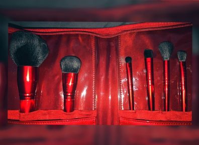 Morphie royal sweep collection brush set+ case