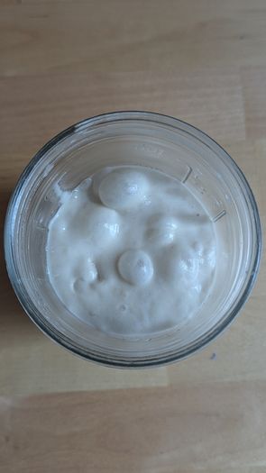 Sourdough starter