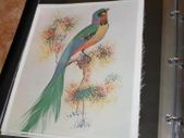 unframed silk picture