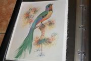 unframed silk picture