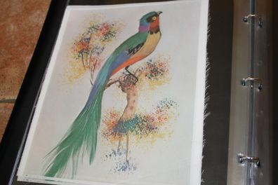 unframed silk picture