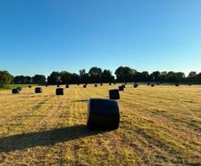 Silage Bales