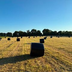 Silage Bales
