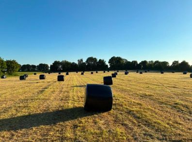 Silage Bales