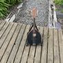 flatiron mandolin Image 2
