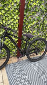 orbea onna 50