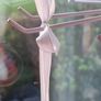 Your My Special Angel Hand Crafted FREEPOST Image 5